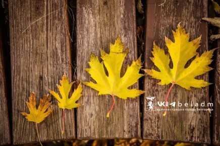 Доброе утро, Белгород!. В понедельник нас ждёт пасмурная и дождливая погода