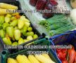 Владимир Переверзев: Где дешевле всего купить необходимые продукты в посёлке Борисовка