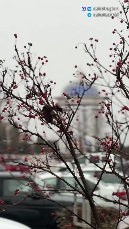 Доброе утро, Старый Оскол!