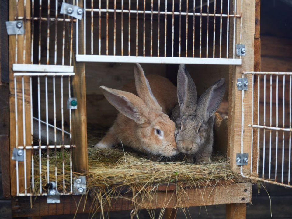 �������, 17 ������, � ��������� ����� �������