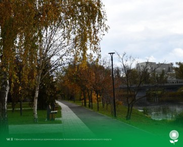 18 ноября. Температура воздуха 14°C, пасмурно, без осадков