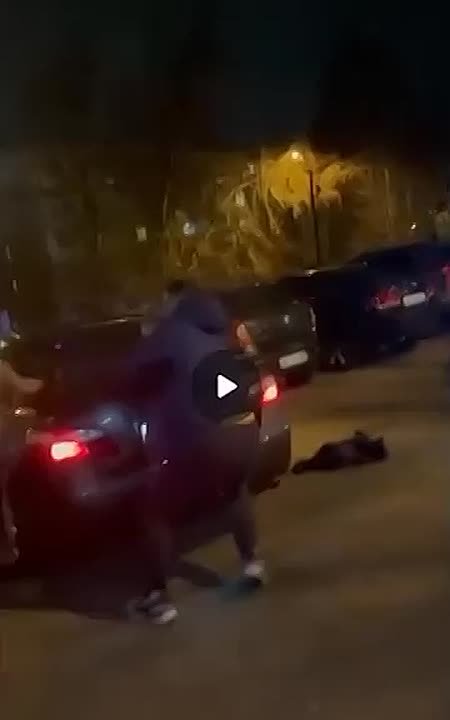 Ссора в школьном чате закончилась разборкой с топором и битой в Белгороде