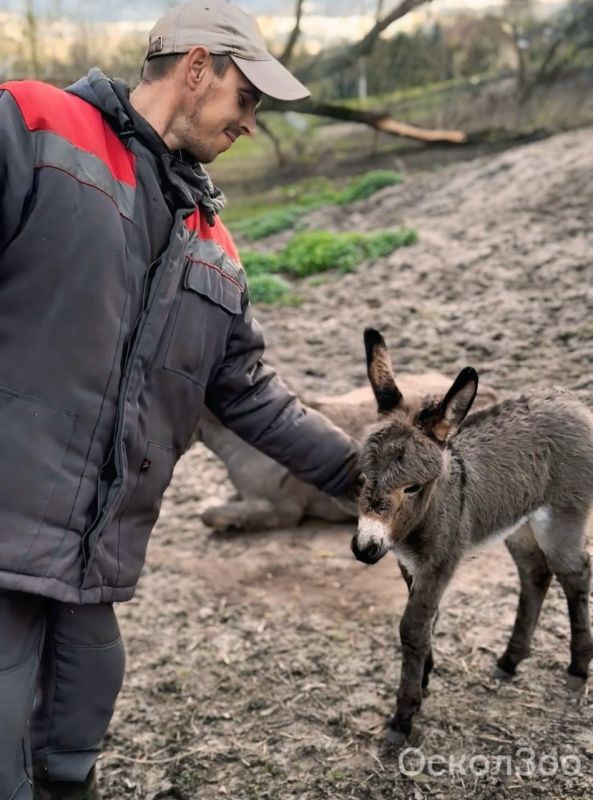 � �������� ������� ������ ������� ������