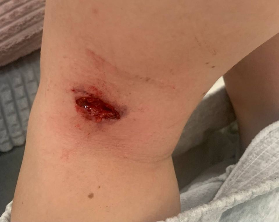 ���������, �� ���� ������������ ���������� �����