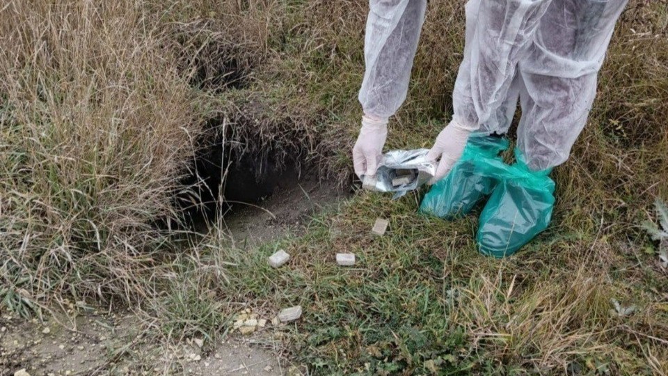 В Белгородской области разложили более 20 тысяч доз вакцины от бешенства