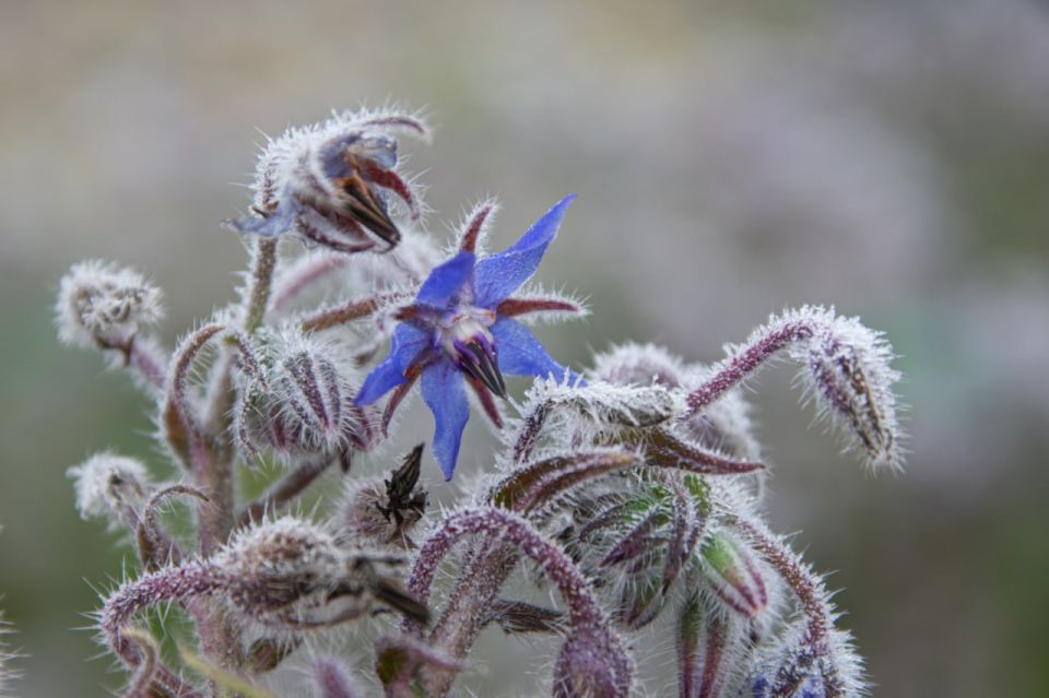 ����������, � ������ ���� ������� ��������