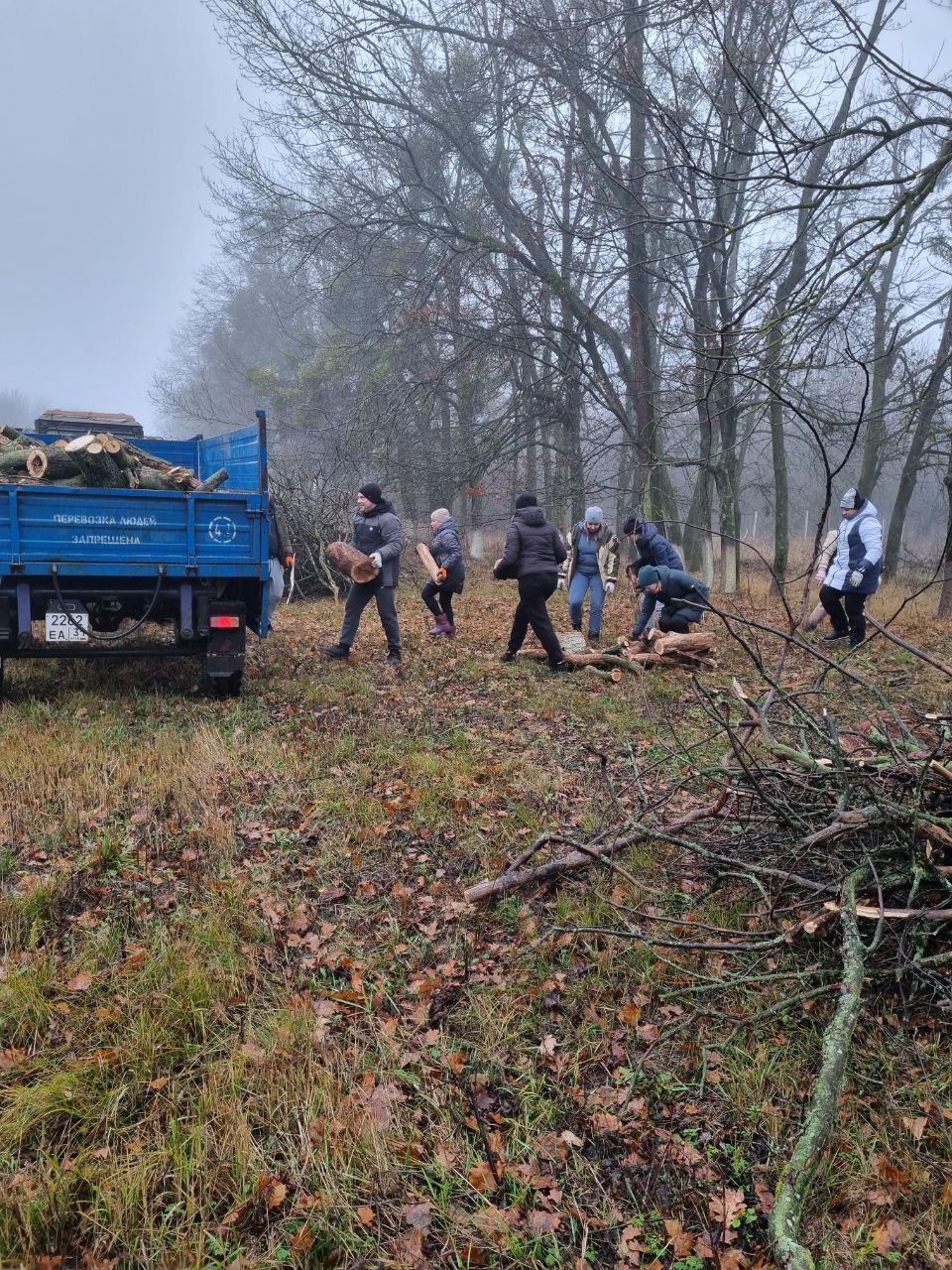 Владимир Переверзев: В Борисовском муниципальном округе продолжается плановая работа по заготовке древесины