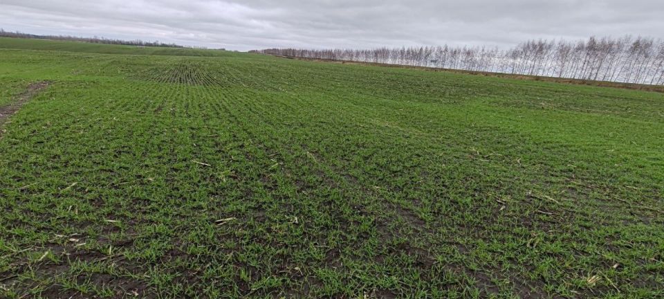 ��� ������ 2026 ���� ��������������������� ��������������������� ������������ �������������� ������ ������� 17161 �� ������ �������