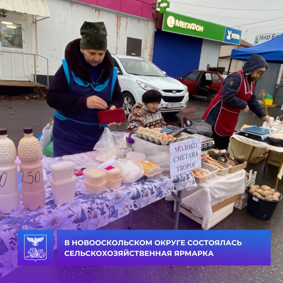Андрей Миськов: В Новом Осколе прошла очередная сельскохозяйственная ярмарка выходного дня, инициированная губернатором Белгородской области Вячеславом Гладковым