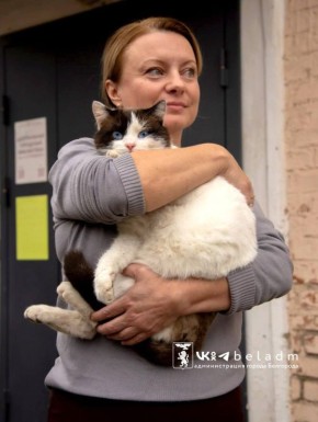 Кот Беляш ищет хозяина. Сейчас он живёт у библиотеки имени Николая Островского