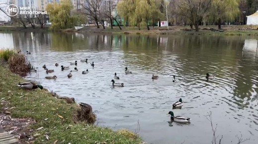 Погода 23 ноября. Сегодня синоптики обещают пасмурную погоду