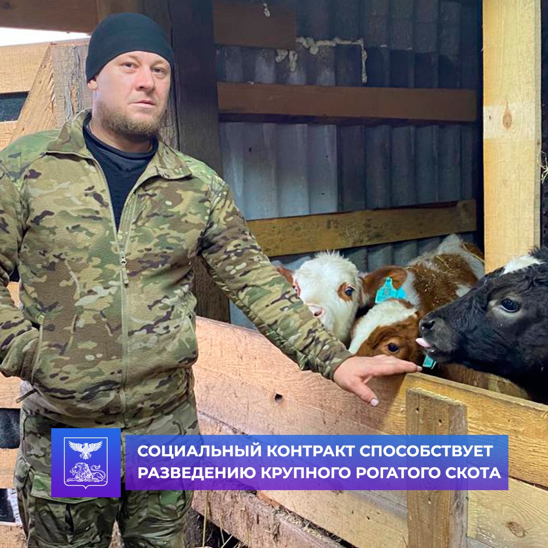 Сергей Севостьянов благодаря соцконтракту занялся разведением крупного рогатого скота