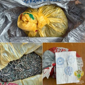 Шебекинцу грозит до трёх лет лишения свободы за незаконный оборот наркотиков