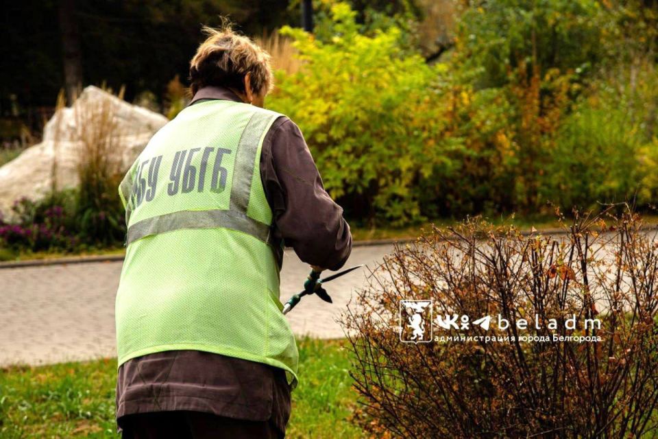 ��������������������� ������������� ������������ ������� ������