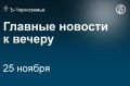«Агроэко» решила не ограничивать себя свиньями и заняться молочным животноводством