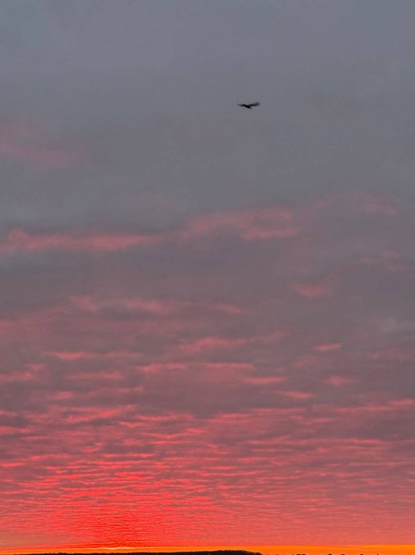 �� �������� �� ������: ������� �������� ������������ ���