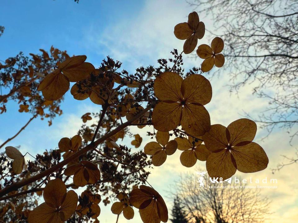 ������ ����, ��������!. 25 ������ ��� ��� ���������� ����������