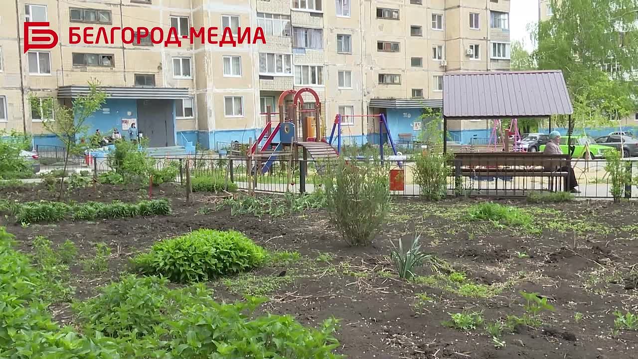 Трое белгородцев вошли в Молодёжный парламент при областной Думе