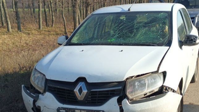 В Грайворонском округе при атаке дрона на авто пострадали три мирных жителя