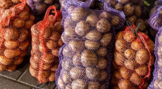 Белгородские овощеводы собрали рекордный урожай картофеля, сообщил Гладков