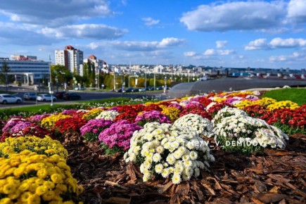 В администрации Белгорода упразднили должность заместителя главы по ландшафтному дизайну