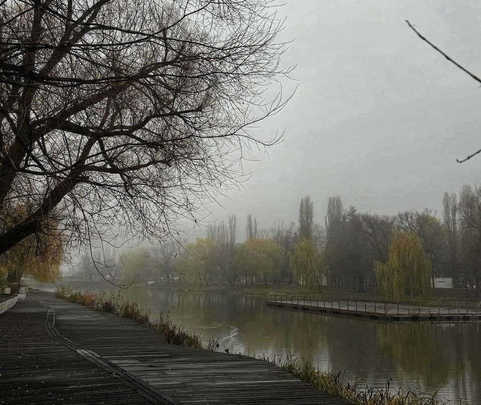 Сегодня, 27 ноября, нас ждёт облачная погода