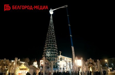 На площади Белгорода уже вовсю идёт установка главного новогоднего символа