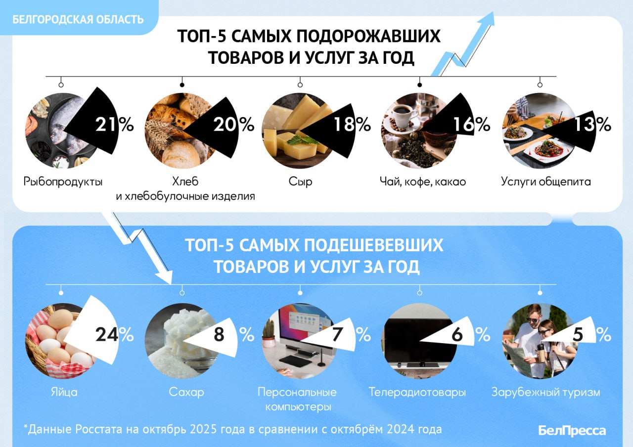 Годовая инфляция в Белгородской области снизилась до 7,7 %