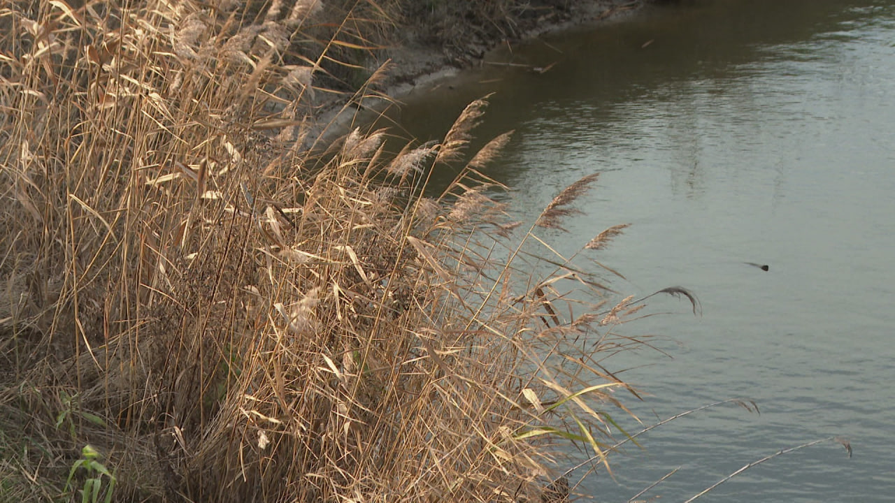 Белгородская область вошла в число лидеров России по развитию агротуризма