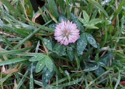 Сегодня, 28 ноября, будет облачно