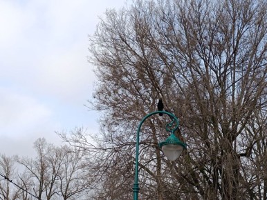 Пятница на «БелПрессе»!. Заключительные осенние деньки в Белгороде