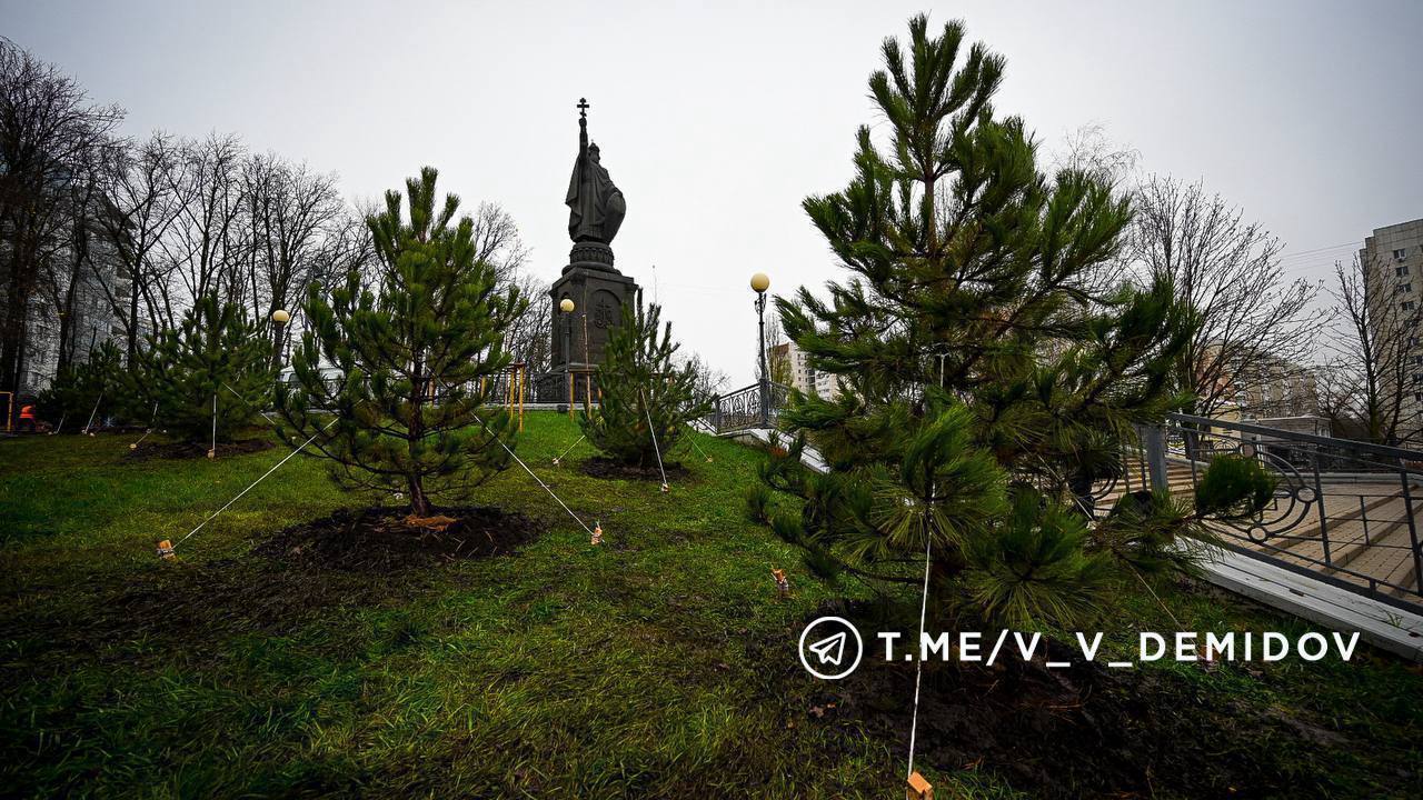 В Белгороде высаживают «зелёные стены» от шума и пыли