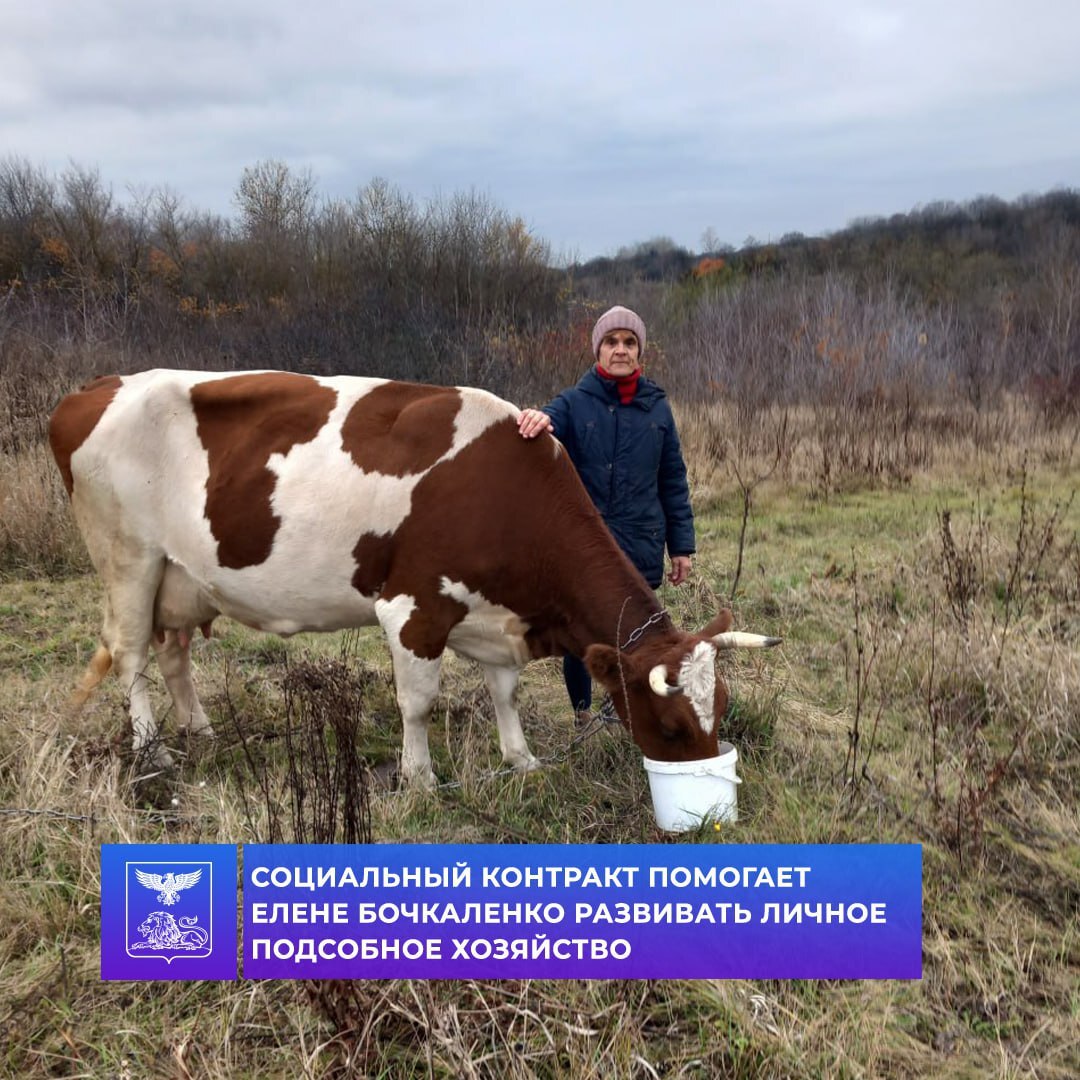 Участие в программе «Содействие» - реальный шанс улучшить своё благосостояние