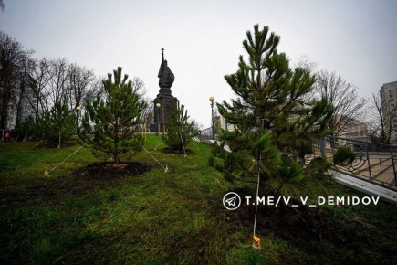 Валентин Демидов: Продолжаем масштабное обновление зелёного каркаса Белгорода