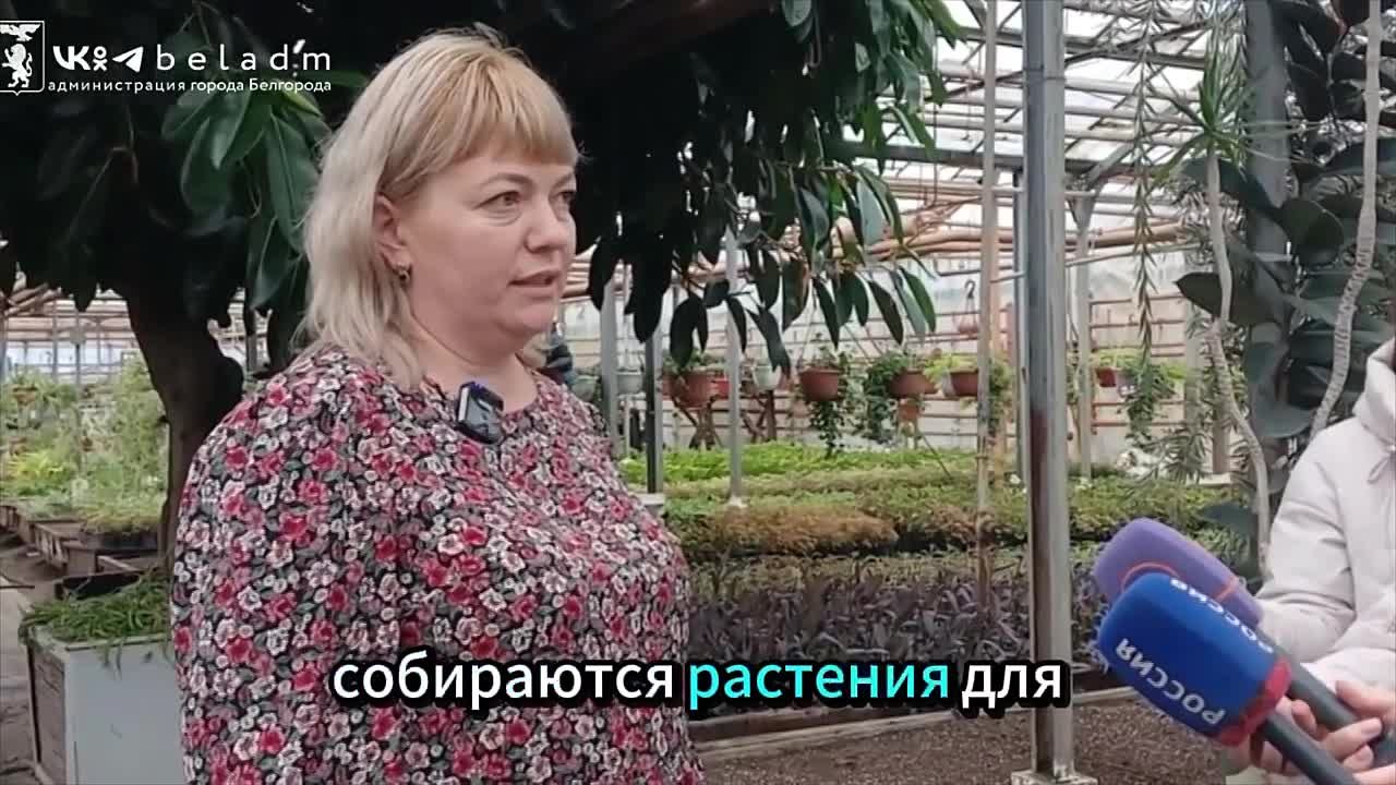 Тропические уголки появятся в областной столице в 2026 году