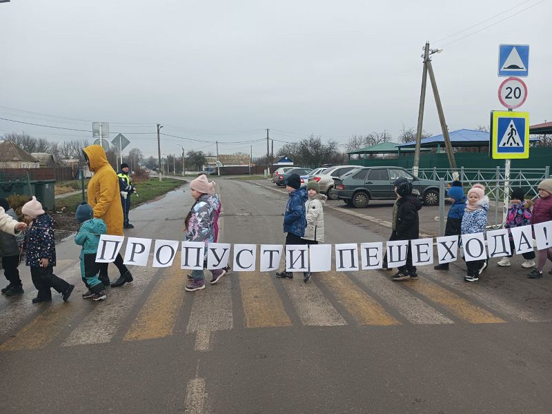 В Белгородской области юные пешеходы выстроили живую инсталляцию на пешеходном переходе