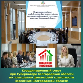 Заседание координационного совета при Губернаторе Белгородской области по повышению финансовой грамотности населения Белгородской области состоялось в конференц-зале Центра высоких технологий БГТУ им. В.Г. Шухова 28 ноября...