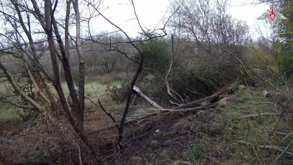 ��������� �������� ������ ���������� ���������� �� ����������� �����������