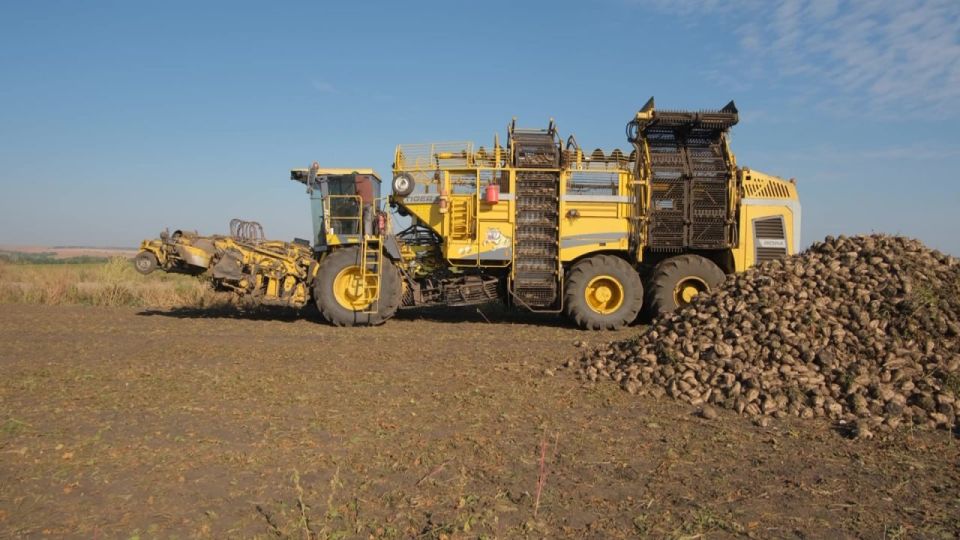 Выпадение 165 тыс. га пашни из-за атак ВСУ не снизило сбор зерна в Белгородской области