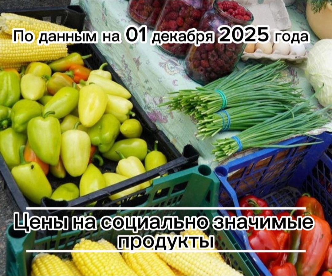 Владимир Переверзев: Где дешевле всего купить необходимые продукты в посёлке Борисовка