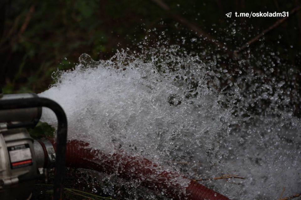 � ������ ������ �������� ����������� ������ �������� � ����������� �������