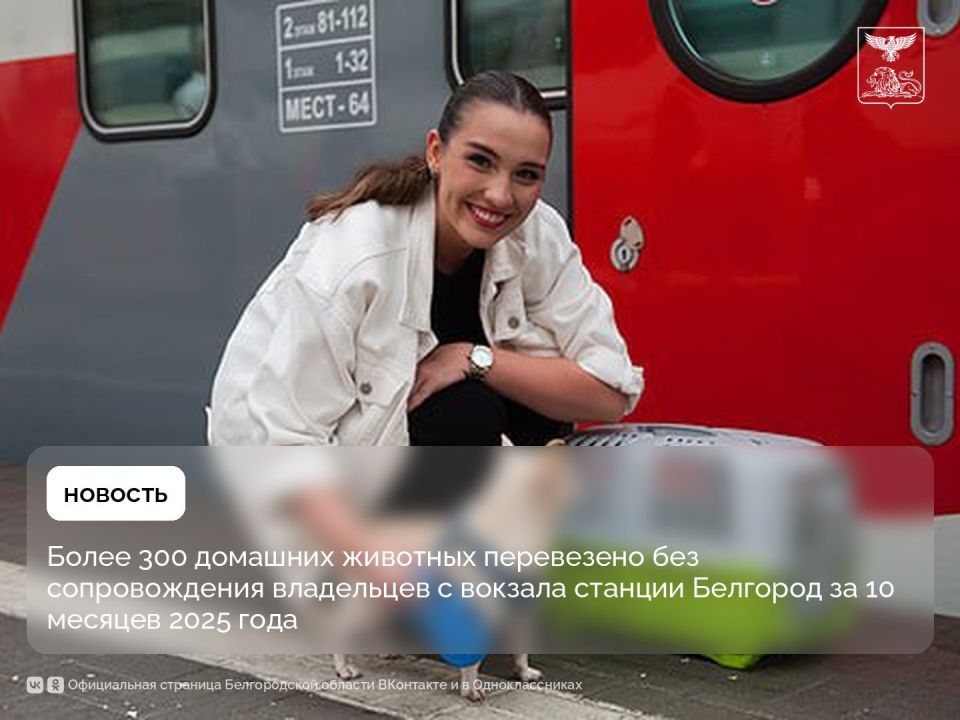 ����� 300 �������� �������� ���������� ��� ������������� ���������� � ������� ������� �������� �� 10 ������� 2025 ����