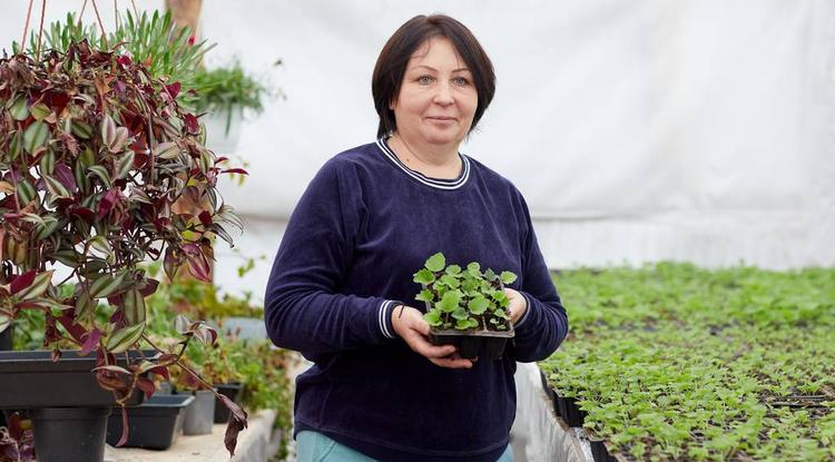 Новый старт любимого дела. Белгородцам соцконтракт помог возродить тепличное хозяйство