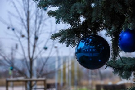 Андрей Гриднев: Уважаемые шебекинцы, делюсь новостями прошедшей недели, которые публиковались на официальных страницах администрации и учреждений Шебекинского муниципального округа: