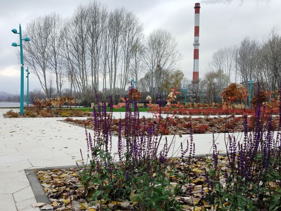 Сегодня, 2 декабря, будет облачная с прояснениями погода