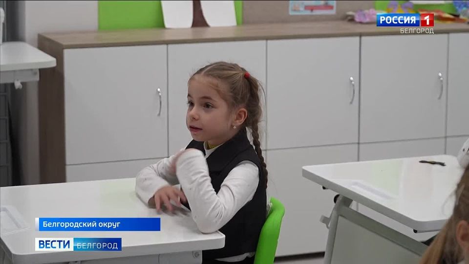 123За 10 месяцев 2025-го в Белгородском округе произошло 98 ДТП, в которых погибли или пострадали люди