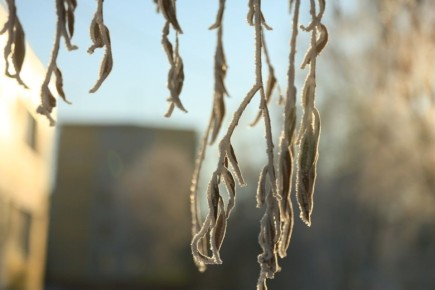 С добрым утром, город! Желаем вам доброго дня и отличного настроения