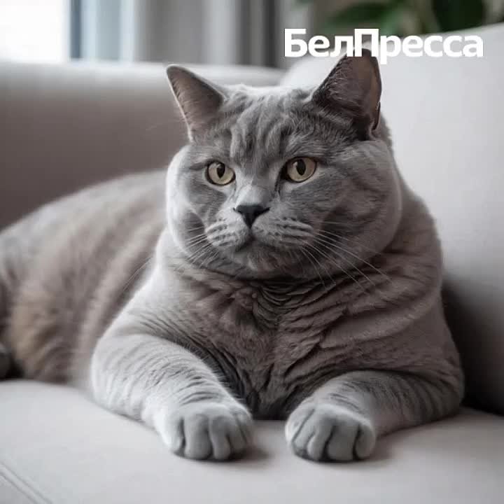 Доброе утро!. Из-за короткого светового дня оно больше напоминает ночь