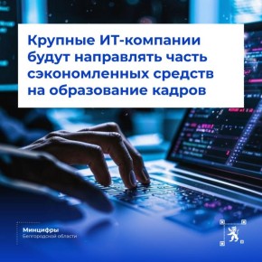 Крупные ИТ-компании Белгородской области теперь будут направлять часть сэкономленных средств на образование кадров