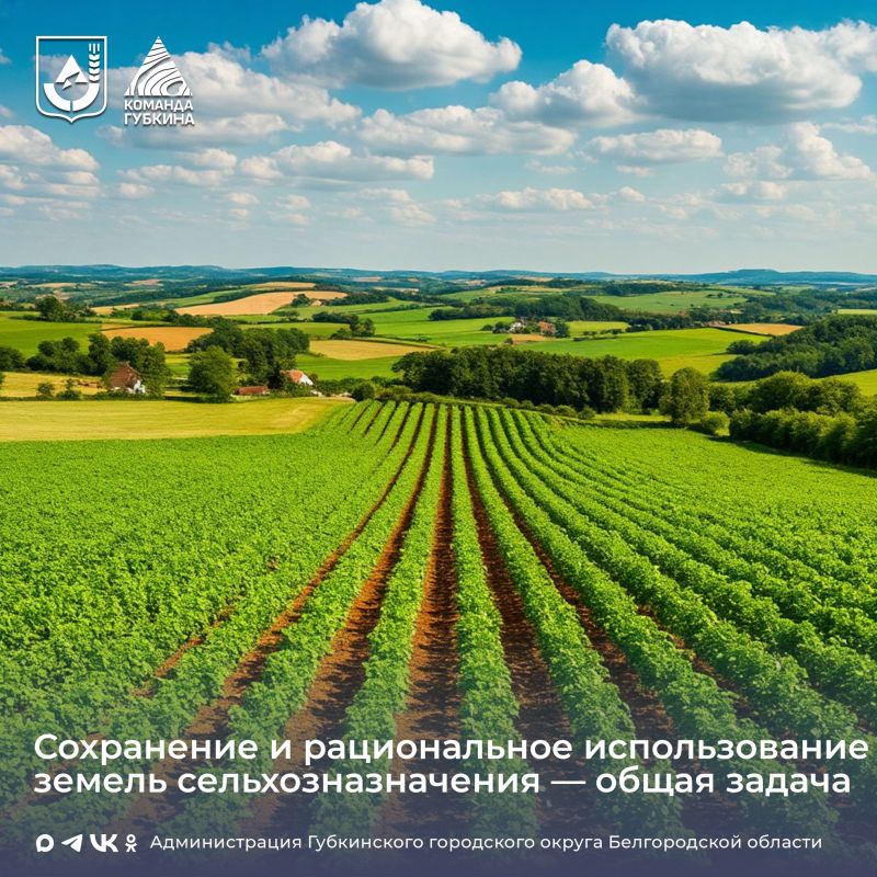 Земли сельскохозяйственного назначения